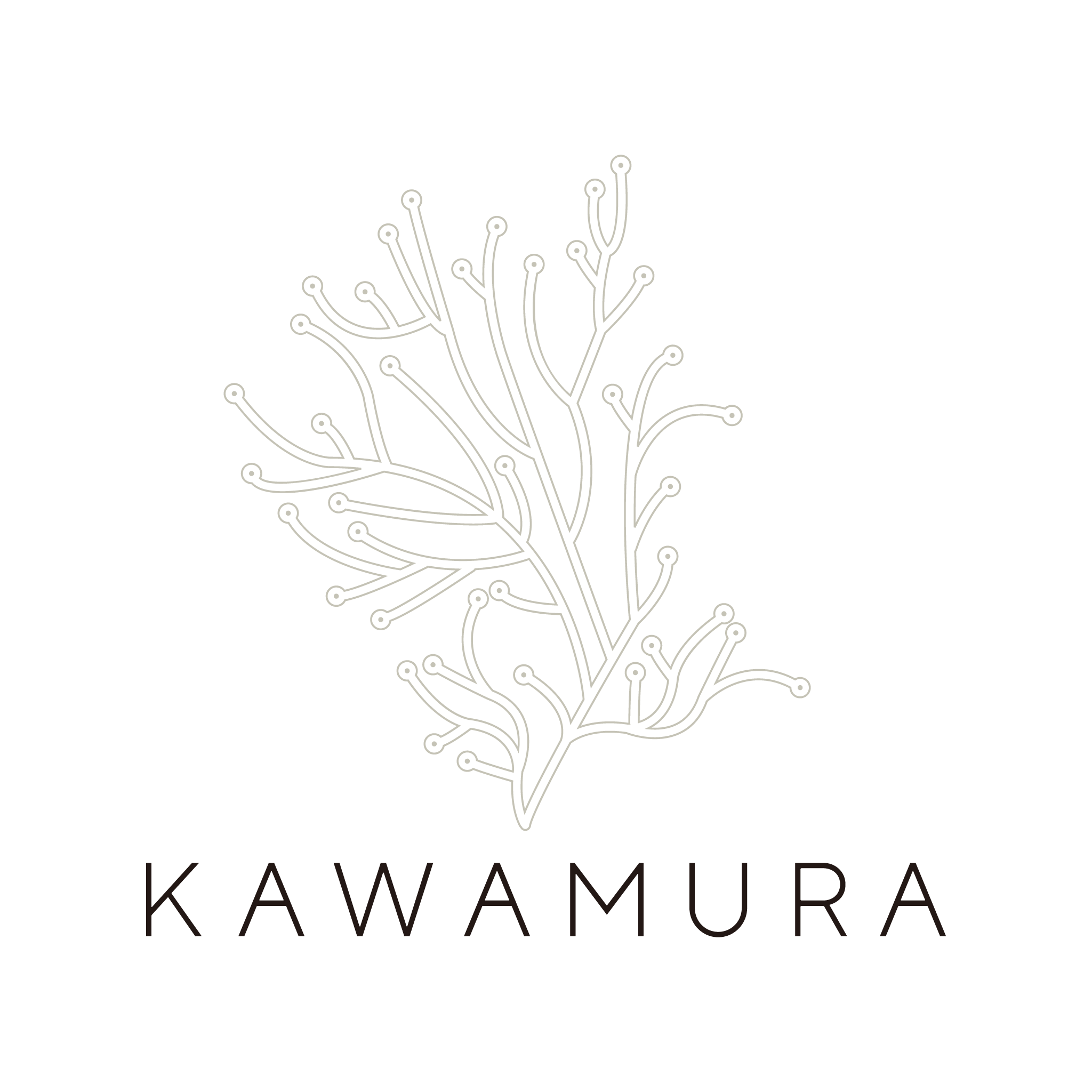 Kawamura Logo